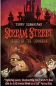 Scream Street Book 12: Terror Of The Changeling (Paperback)