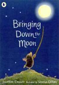 Bringing down the Moon 표지 이미지