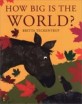 How Big Is the World? (Paperback) (My Little Library 3-23)