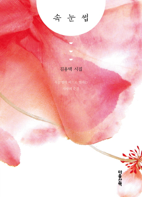 속눈썹:김용택시집