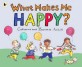 What Makes Me Happy? (Paperback)