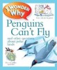 I Wonder Why Penguins Can't Fly (Paperback)