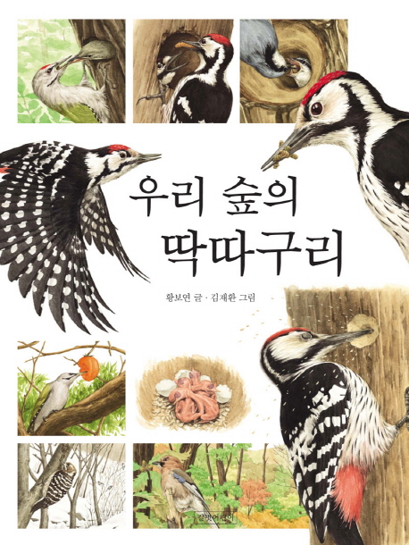 우리 숲의 딱따구리 표지이미지