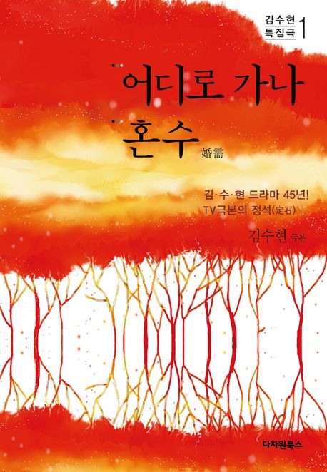 어디로가나 혼수 : 김수현 극본