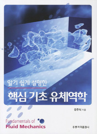 (알기 쉽게 설명한) 핵심 기초 유체역학  = Fundamentals of fluid mechanics