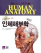 인체해부학 =인체의 구조와 기능 /Human anatomy 