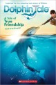 Dolphin Tale A Tale of True Friendship