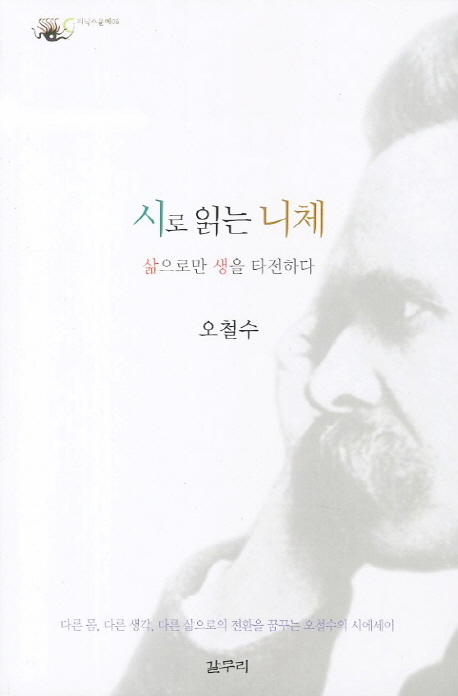 시로 읽는 니체  : 삶으로만 생을 타전하다