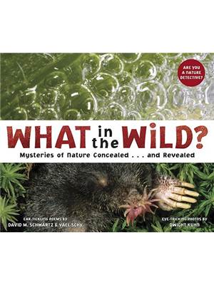 What in the wild? : mysteries of nature concealed...and revealed