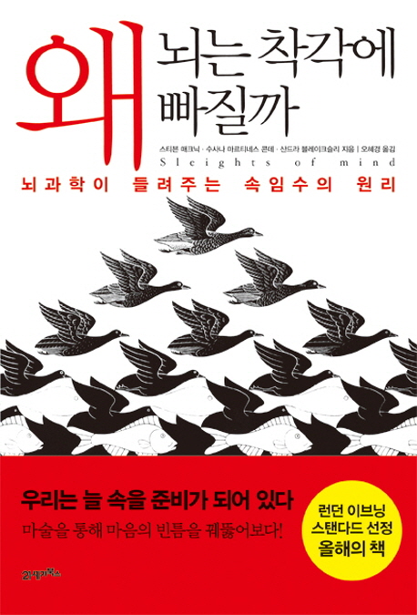 왜 뇌는 착각에 빠질까 (뇌과학이 들려주는 속임수의 원리)