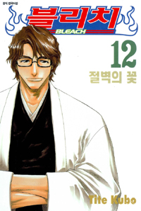 블리치 12 (절벽의 꽃)