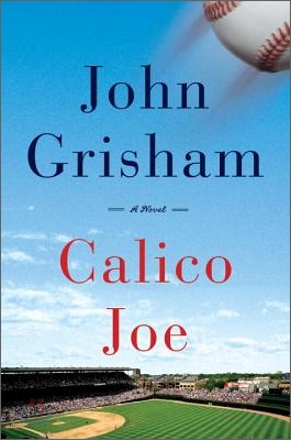 Calico Joe : a novel