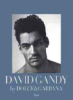 David Gandy by Dolce & Gabbana  : the male icon / Peter Howarth