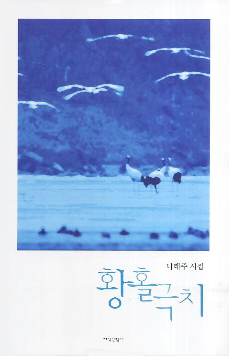 황홀극치 : 나태주 시집
