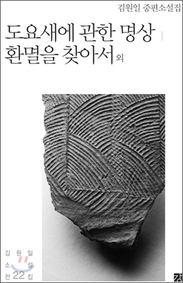 도요새에 관한 명상 ; 환멸을 찾아서 외 : 김원일 중편소설집 표지 이미지