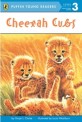 Cheetah Cubs (Paperback) - Puffin Young Readers Level 3