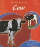 Life Cycle of a Cow(Vol.) Vol