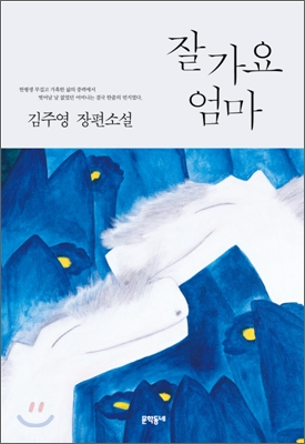 잘 가요 엄마  : 김주영 장편소설