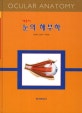 눈의 해부학