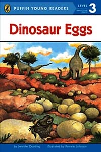 Dinosaur eggs