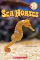 Seahorses (Paperback)