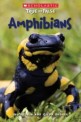 Amphibians (Paperback)