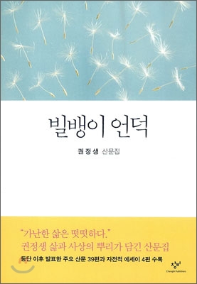 빌뱅이 언덕  : 권정생 산문집