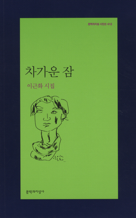 차가운 잠 : 이근화 시집 표지이미지