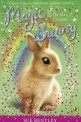 Magic Bunny: Holiday Dreams (Paperback)