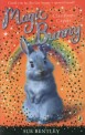 Magic Bunny: Classroom Capers (Paperback)