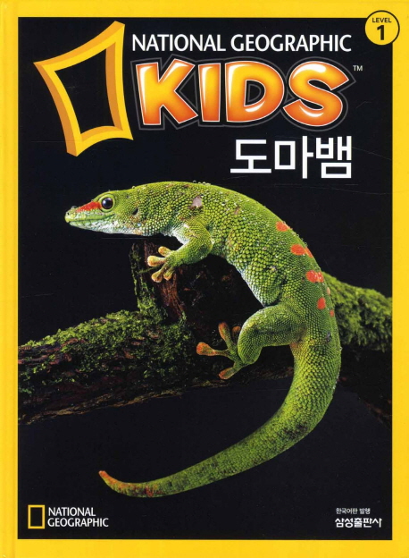 도마뱀 표지 이미지