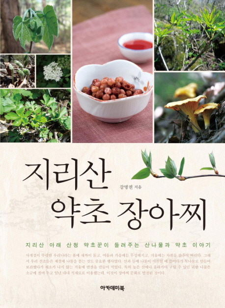 지리산 약초 장아찌  : 지리산을 텃밭으로 삼고 살아가는 산청 약초꾼이 들려주는 산나물과 약초 이야기