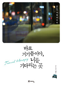바로 거기쯤이야, 너를 기다리는 곳  : 테오의 여행테라피 표지 이미지