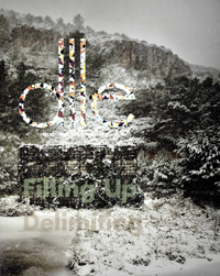Dlle No.4 : architectural landscape : Filling Up Delimiting