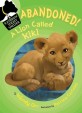 Abandoned! A lion called Kiki 