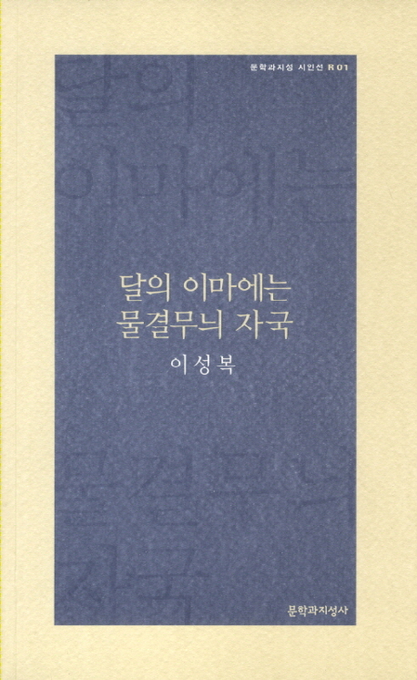 달의 이마에는 물결무늬 자국 표지 이미지