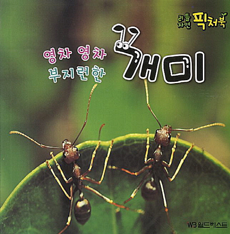 영차영차 부지런한 개미 표지 이미지