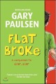 Flat broke  : the theory, practice and destructive properties of greed