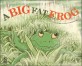 (A) big fat frog 