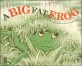 (A) big fat frog