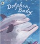 Dolphin Baby (Paperback) null