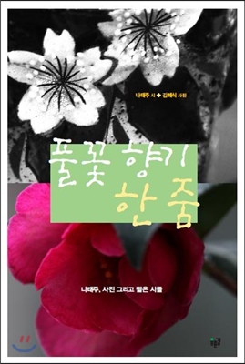 풀꽃 향기 한 줌 : 나태주 사진 그리고 짧은 시들