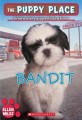 The Puppy Place. 24,  Bandit
