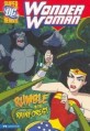 Wonder Woman: Rumble in the Rainforest (Paperback)