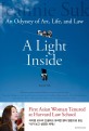 (A) light inside :an odyssey of art, life, and law 