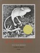 높이 뛰어라 생쥐 (미국 인디언 옛이야기 딱따구리그림책 10) : 미국 인디언 옛이야기