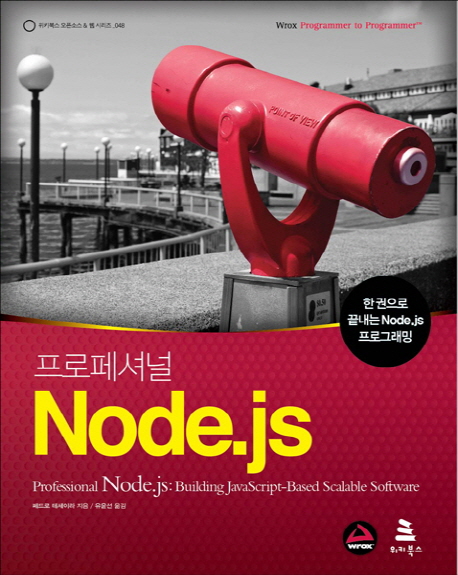 프로페셔널 Node.js : 한 권으로 끝내는 노드제이에스 프로그래밍 표지 이미지