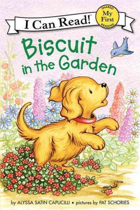 Biscuit in the garden