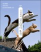 고경원의 길고양이 통신 :서울 숲에서 거문도까지, 길고양이와 함께한 10년 