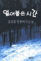 얼어붙은 시간 :김성종 장편비극소설 